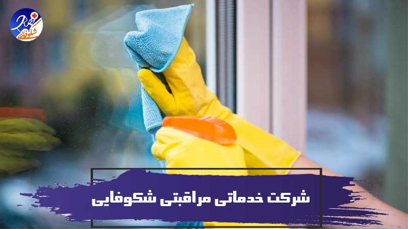 هدف از تأسیس شرکت خدماتی مراقبتی شکوفایی
