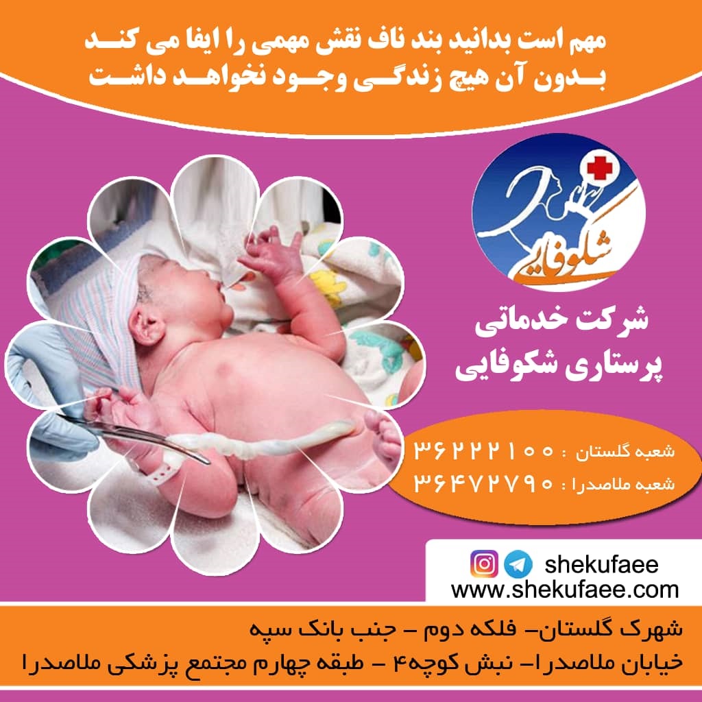 سیزده راه ساده برای تمیز کردن بند ناف نوزاد (2) 1 سیزده راه ساده برای تمیز کردن بند ناف نوزاد (2)