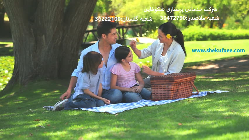 تربیت کودکانی شاد و موفق 2 چگونه کودکانی شاد و موفق تربیت کنیم