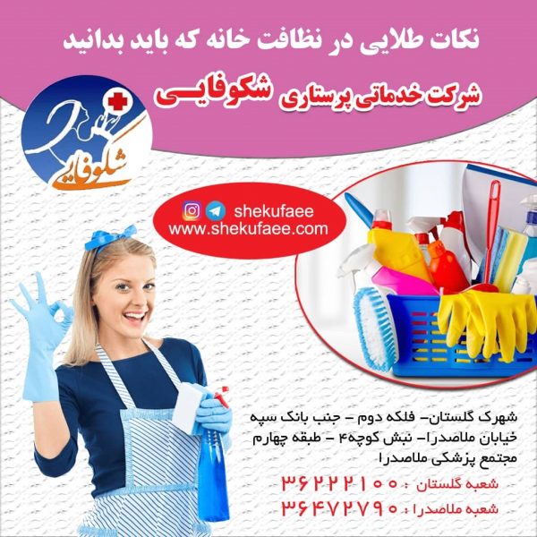 نکات طلایی در نظافت خانه که باید بدانید! 8 نظافت خانه|تمیزکاری و نظافت