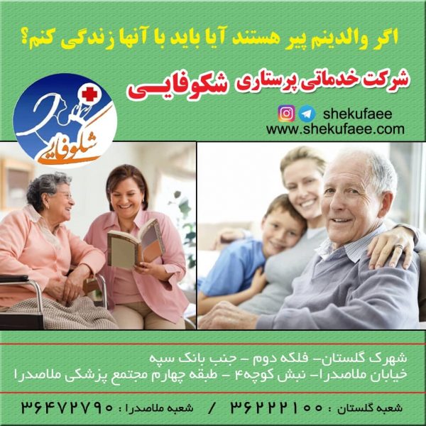 زندگی با والدین پیر، آیا باید با آنها زندگی کنم؟ 4 زندگی با والدین پیر