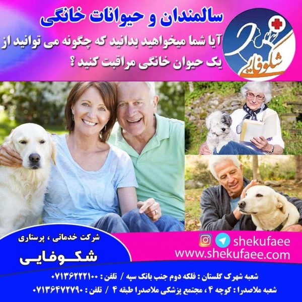 سالمندان و حیوانات خانگی 4 حیوان خانگی می تواند از لحاظ جسمی و روحی برای افراد مختلف مفید باشد
