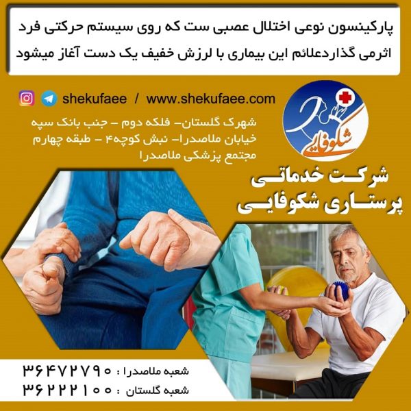 چکلیست روزانه مراقبت از سالمند مبتلا به پارکینسون در شیراز 3 پارکینسون چیست|علل بیماری پارکینسون