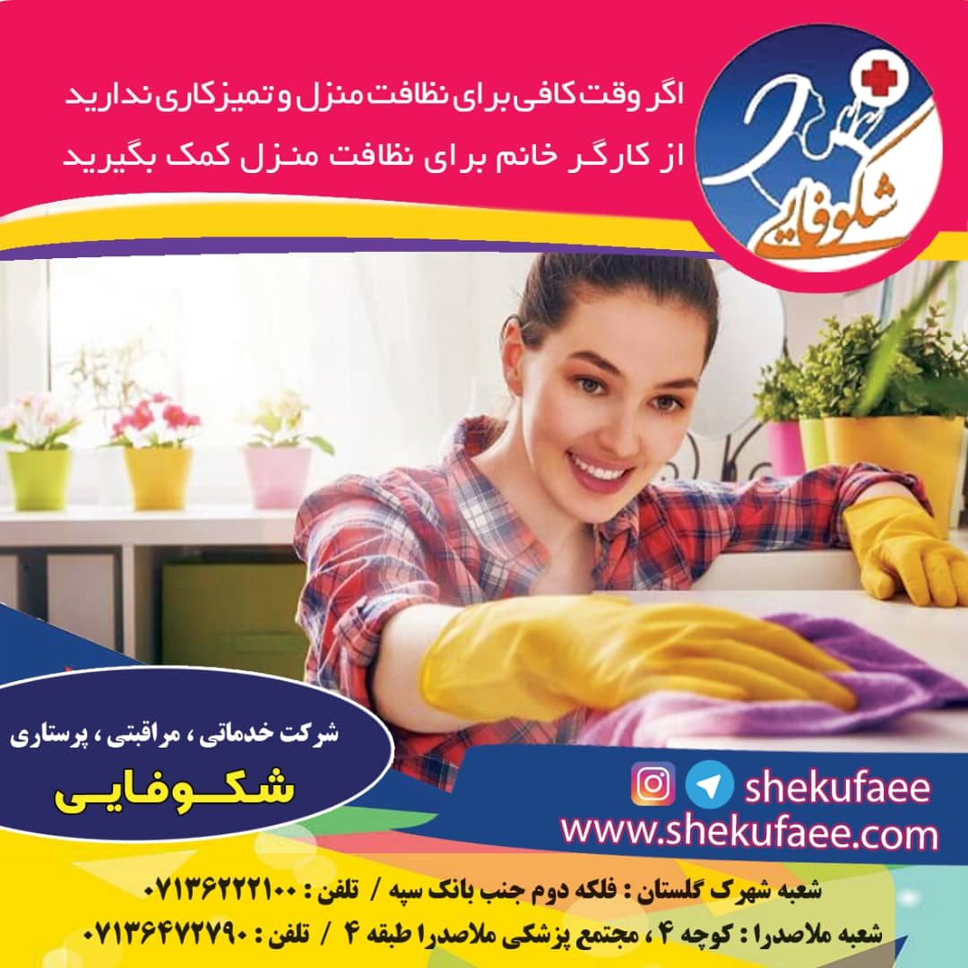 تمیز کننده های طبیعی | تمیز کاری | تمیز کردن منزل با مواد طبیعی