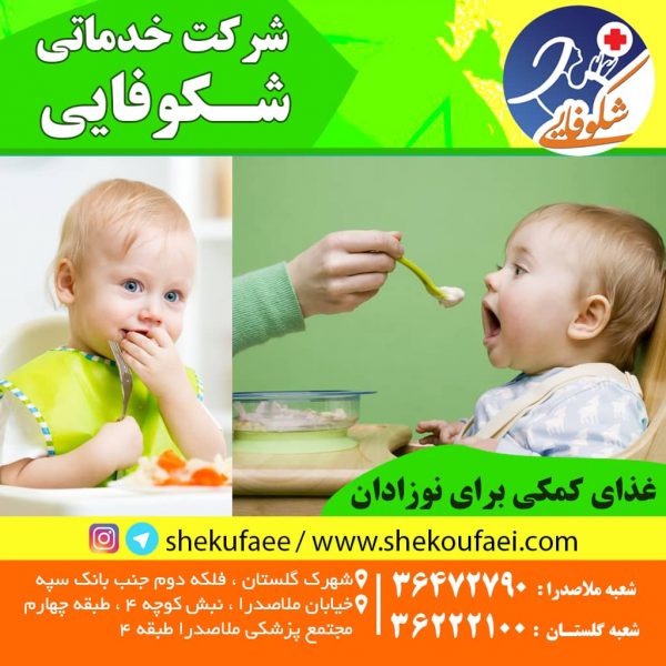 غذاهای کمکی برای نوزادان و پیشنهادات ما 8 غذاهای کمکی برای نوزادان
