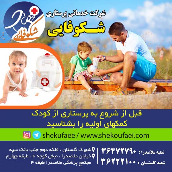 نگهداری از کودکان و وظایف پرستار کودک(23 وظیفه مشترک در این حرفه) 1 نگهداری از کودکان و وظایف پرستار