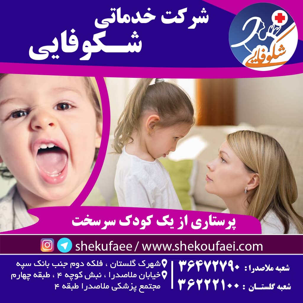 پرستاری از کودک سرسخت و 4 روش برای کنترل کودکان سرسخت 3 پرستاری از کودک سرسخت
