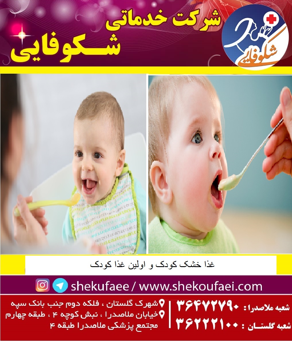 غذای خشک کودک و اولین غذا کودک 1 غذای خشک کودک و اولین غذا کودک