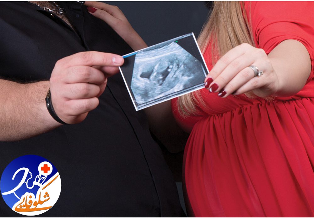 باروری در زنان | باروری | باداری | بارداری زن | انجمن بارداری زنان | فرزند آوری | انجمن پزشکی | قدرت باروری