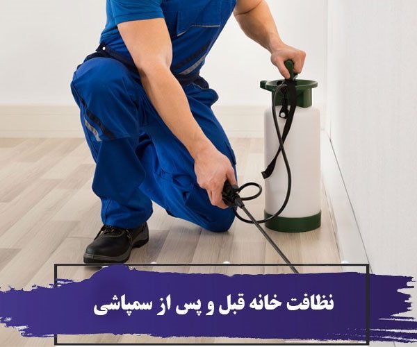 نظافت خانه قبل از سمپاشی ،نظافت خانه بعد از سمپاشی 2 نظافت خانه قبل و پس از سمپاشی و نکات مهمی که باید رعایت کنید