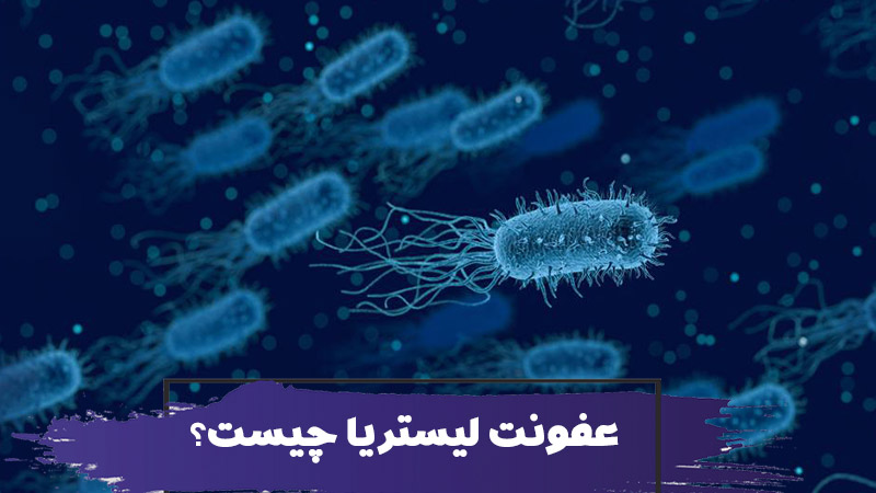 آیا عفونت لیستریا برای سالمندان و کودکان خطرناک است؟ علائم، علل، تشخیص و درمان لیستریا 1 آیا عفونت لیستریا برای سالمندان خطرناک است؟ علائم، علل، تشخیص و درمان لیستریا
