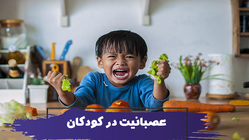 عصبانیت در کودکان : چگونه به کودکان عصبانی خود کمک کنیم؟ 1 عصبانیت در کودکان : چگونه به کودکان عصبانی خود کمک کنیم؟