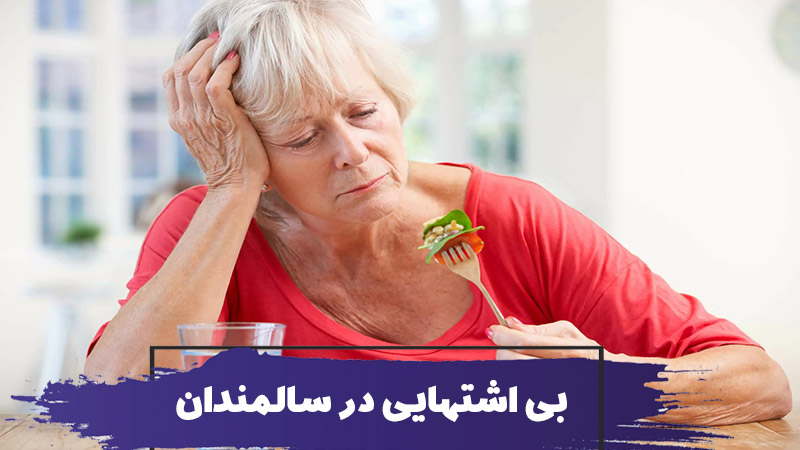 علت و علائم بی اشتهایی سالمندان : بهترین روش های کمک به سالمند کم اشتها 1 علت و علائم بی اشتهایی سالمندان : بهترین روش های کمک به سالمند کم اشتها
