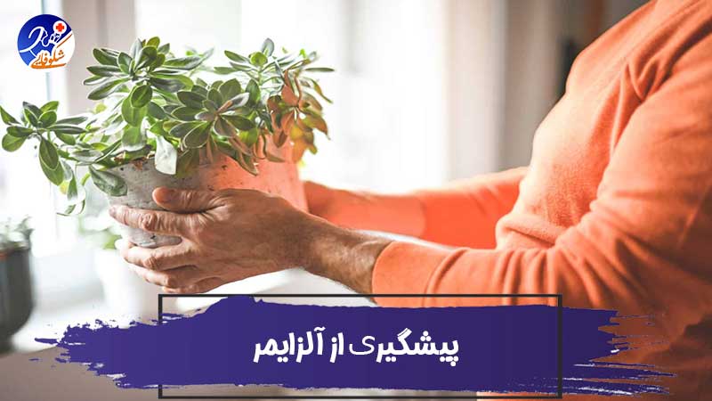 برای پیشگیری از آلزایمر چه کارهایی می‌توان انجام داد؟